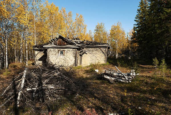 «Эмоции незабываемые» Как живет один из крупнейших регионов России, где оленей больше, чем людей?